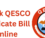 QESCO BILL - Check Your Duplicate Quetta Bill Online