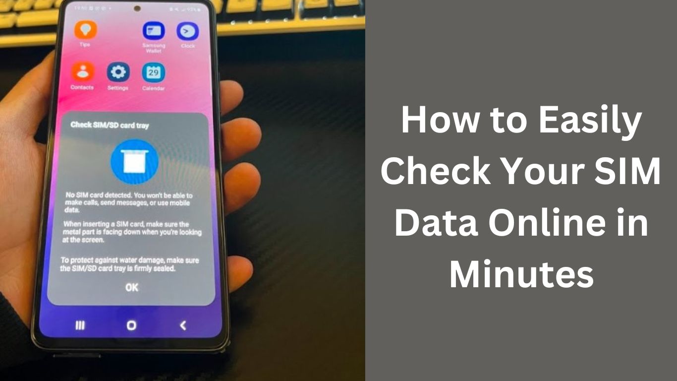 How to Easily Check Your SIM Data Online in Minutes (1)